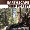 Earthscape - Deep Forest (Chillout Mix)