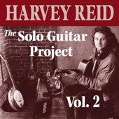 Harvey Reid - Woodchopper's Reel / Jimmy in the Swamp