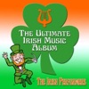 The Irish Performers - The Irish Washerwoman