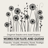 Concerto in G Major for Flute, Guitar and Strings, RV 532: III. Allegro artwork