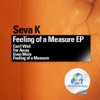 Feeling of a Measure - EP