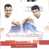 Neththara artwork