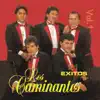 Los Caminantes: 21 Éxitos, Vol. 1 album lyrics, reviews, download