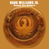 Hank Williams, Jr. - Mind Your Own Business