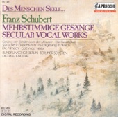 Standchen (Serenade), Op. 135, D. 920 artwork