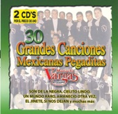 Mariachi Vargas de Tecalitlán - Son de la Negra