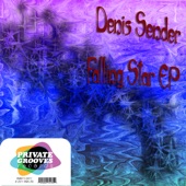 Falling Star (feat. Denis Sender) [Denis Sender Sunset Chill Mix] artwork