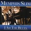 I Am the Blues, 2006