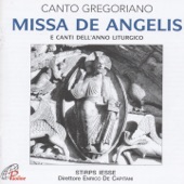 Missa de Angelis (E canti dell'anno liturgico) artwork