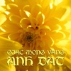 Anh Dat - Màu Hoa Đỏ