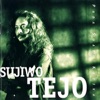 Sujiwo Tejo - Pada Suatu Ketika