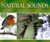 Natural Sounds artwork