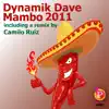 Stream & download Mambo 2011 - Single