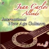 Internacional New Age Guitarra, Vol. 3