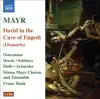 Mayr: David in spelunca Engaddi (David in the Cave of Engaddi) album lyrics, reviews, download