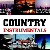 Country Hits Instrumental, Vol.2 (Karaoke Playback) - Country Instrumental