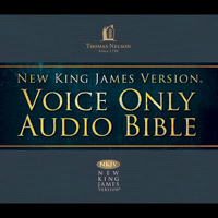Thomas Nelson, Inc. - Voice Only Audio Bible - New King James Version, NKJV: (33) Hebrews and James (Unabridged) artwork