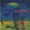 BEL CANTO - RUMOUR