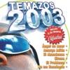 Temazos 2003 18 Hits
