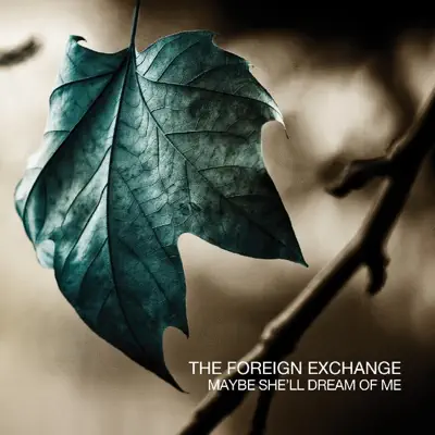 Maybe She'll Dream of Me - EP - The Foreign Exchange