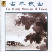 The Missing Nocturnes of Taiwan artwork