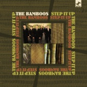 The Bamboos - Transcend Me