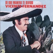 Vicente Fernández - No Me Se Rajar