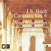 J.S. Bach: Cantatas, Vol. 6 artwork