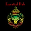 Essential Dub, 2009