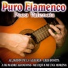 Puro Flamenco