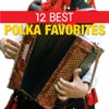 12 Best Polka Favorites