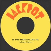 If You Should Lose Me artwork