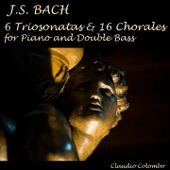 J. S. Bach : 6 Triosonatas & 16 Chorales for Piano and Double Bass artwork