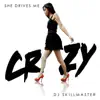 Stream & download She Drives Me Crazy (The Remixes)