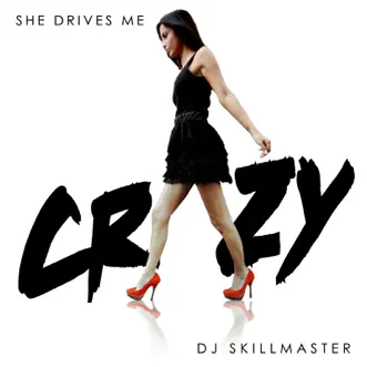 She Drives Me Crazy (DJs from Mars Club Remix) by DJ Skillmaster song reviws