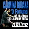 O Fortuna - 'So You Think You Can Dance' Theme Song album lyrics, reviews, download