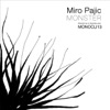Miro Pajic - Monster (Original Mix)