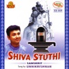 Unnikrishnan - Arthi