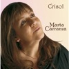 Crisol
