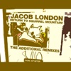 Return to Squirrel Mountain! - The Additional Remixes - EP