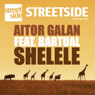 Shelele feat. Bartual by Aitor Galan song reviws