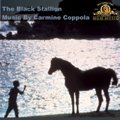 Carmine Coppola - Reprise: Theme from the Black Stallion