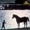 The Black Stallion: Main Theme - Carmine Coppola