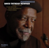 David "Fathead" Newman - Cedar's Blues feat. Cedar Walton,Curtis Fuller