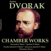 Dvorak Vol. 3 - Chamber Works - Verschiedene Interpreten