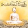 Buddha Bar - Lacrimas del Amor