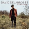 David Delabrosse - Les fleurs fanees