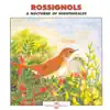 A Nocturne of Nightingales (Rossignols) album lyrics, reviews, download