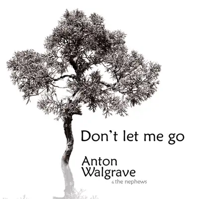 Don't Let Me Go - Single - Anton Walgrave