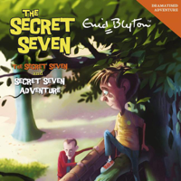 Enid Blyton - Secret Seven & Secret Seven Adventure (Abridged  Fiction) artwork